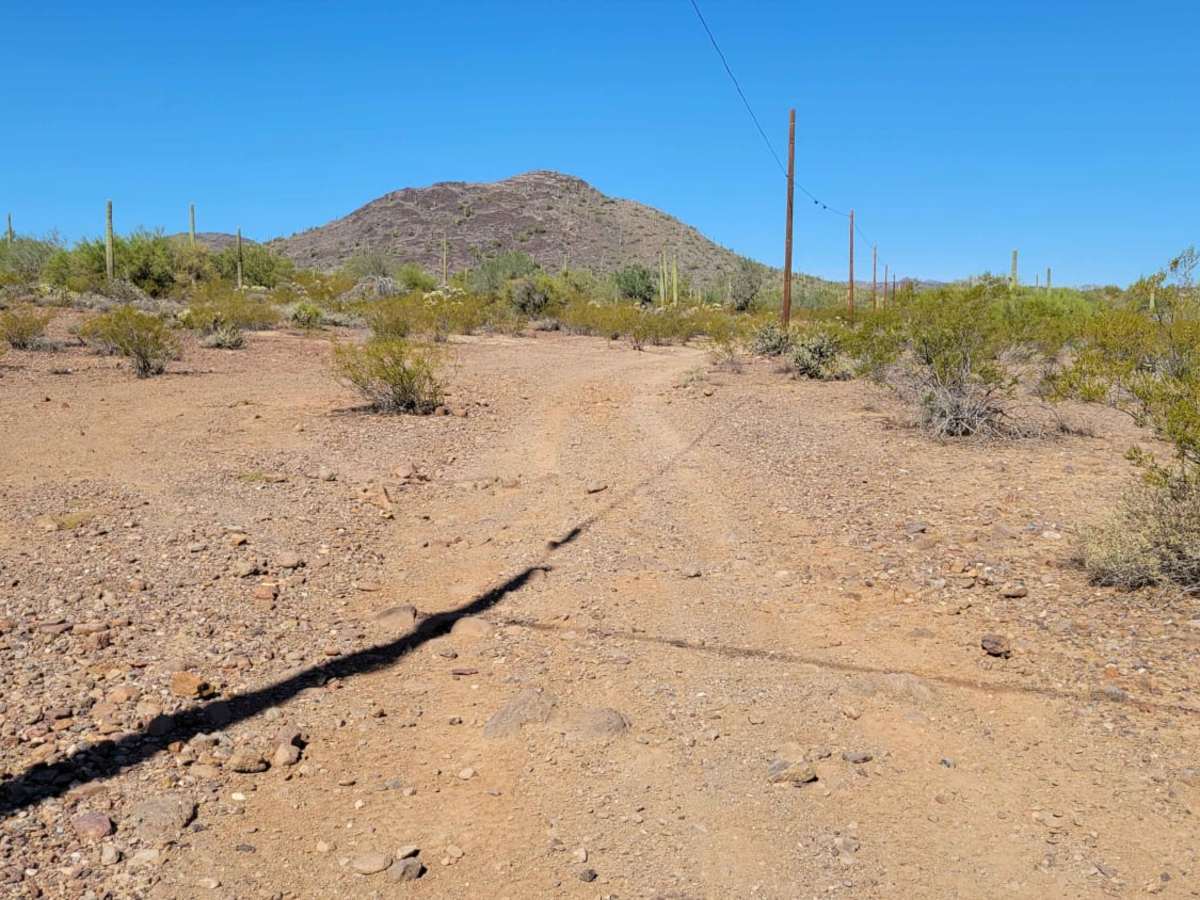 Saguaro Way photo 4