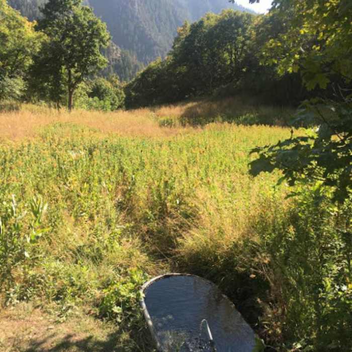 Near Slate Canyon Trail #061