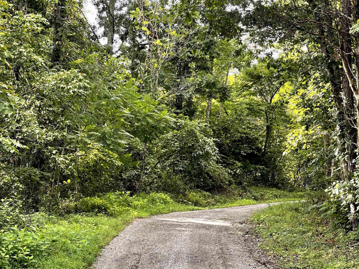 Elburnell Drive trail photo