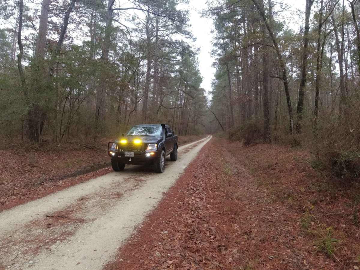 Davy Crockett National Forest Route trail photo