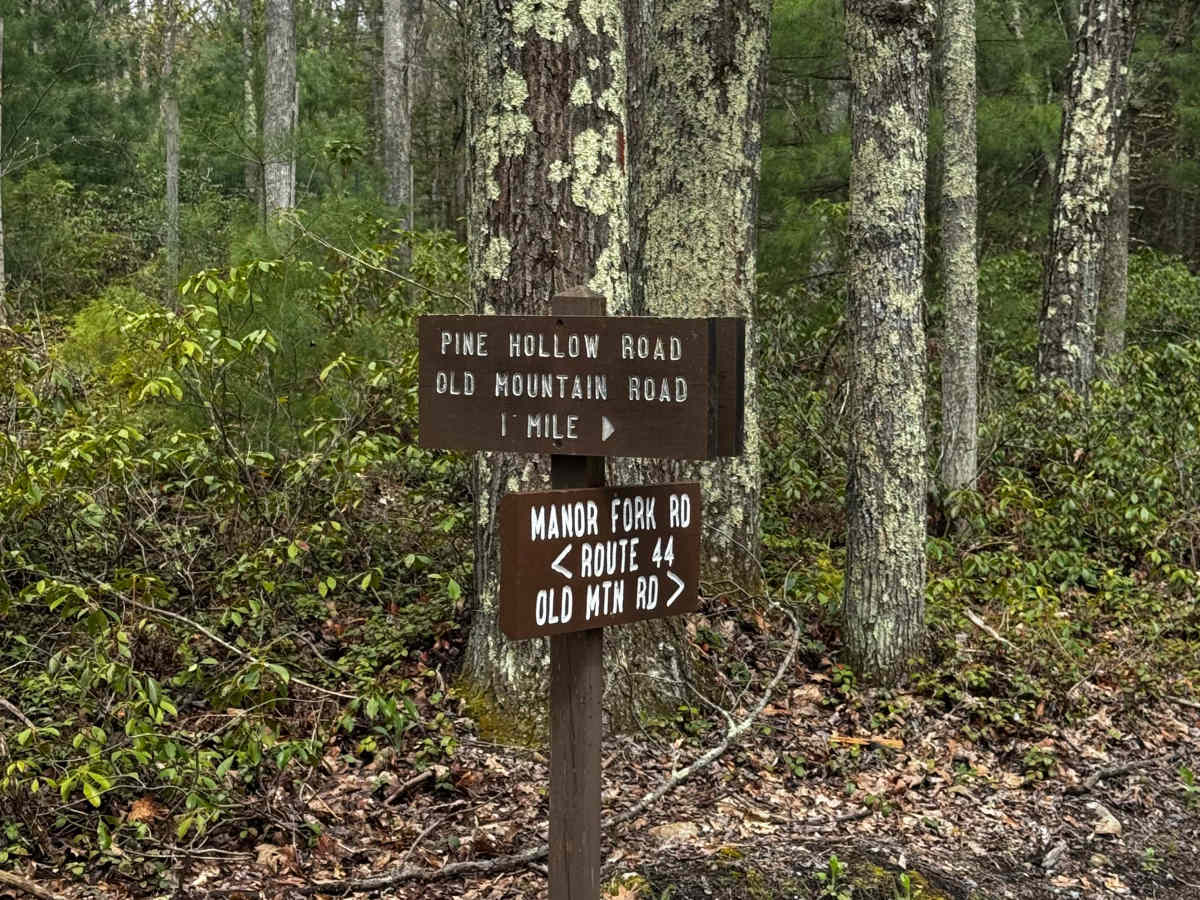 Pine Hollow Road trail photo