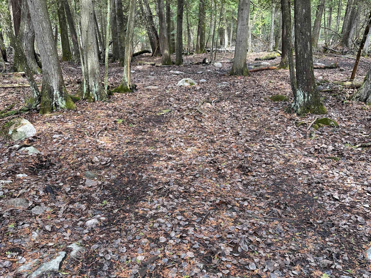 Lower Mud Run trail photo