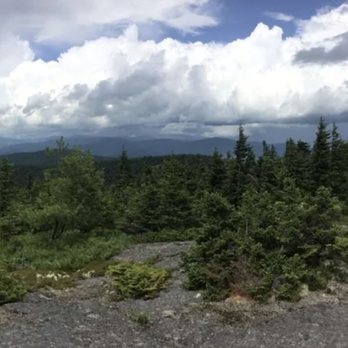 Near Caribou Mountain via Bog Brook