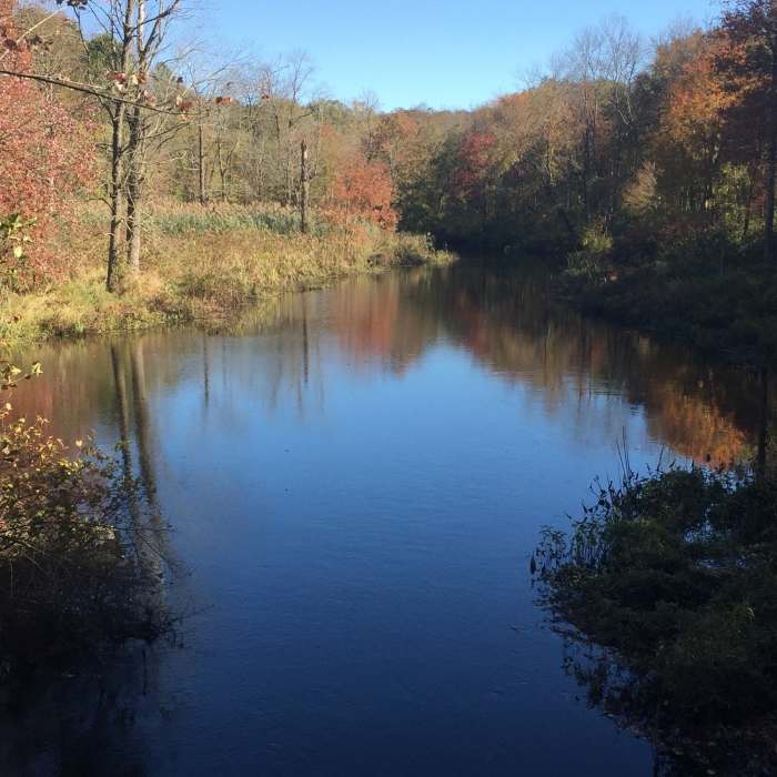 Near Saugatuck Falls Entrance Path
