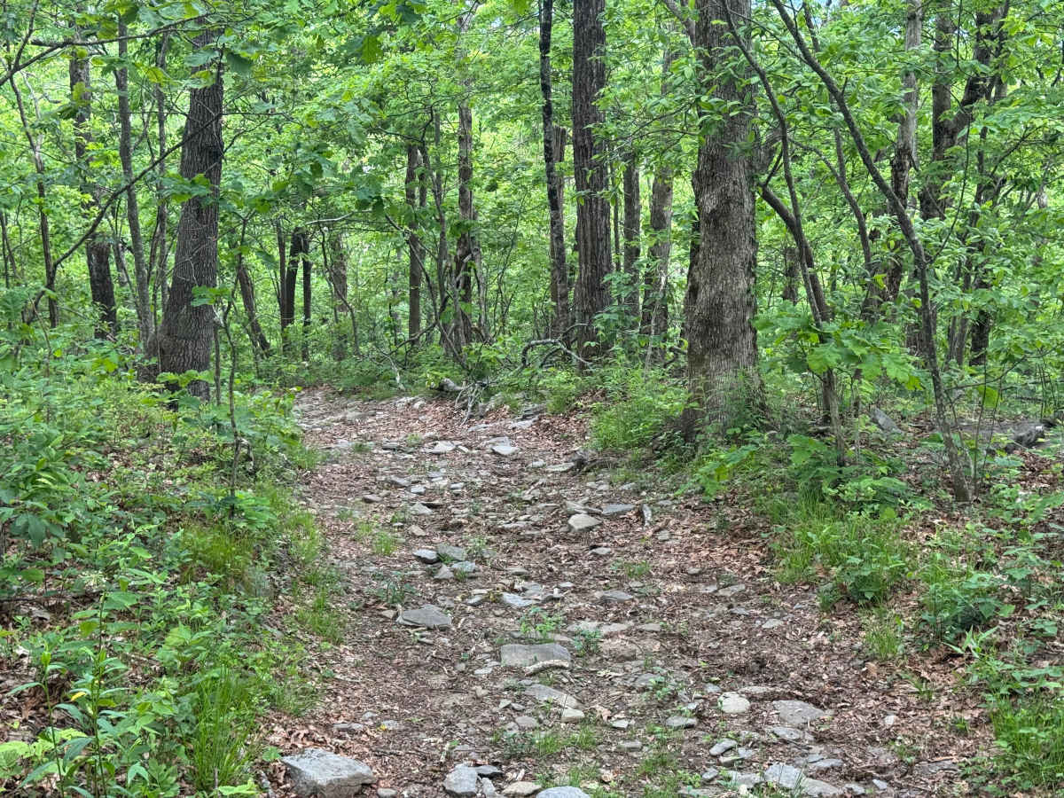Hawk Mountain - FS 42A photo 6