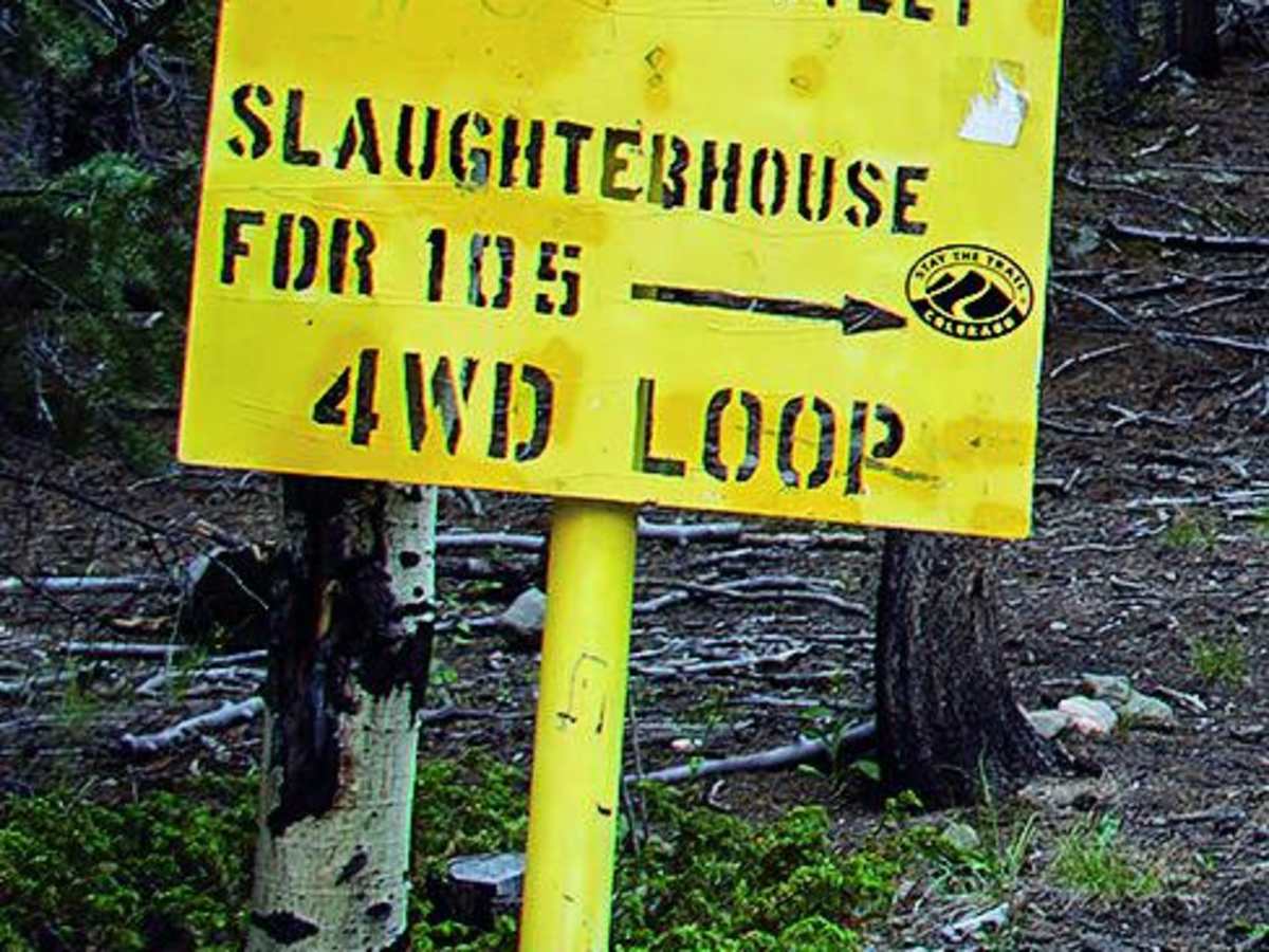 Slaughterhouse Gulch photo 4