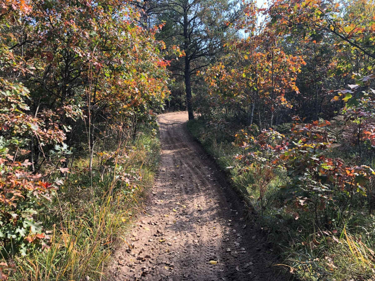 Crapo Creek Trail photo 2