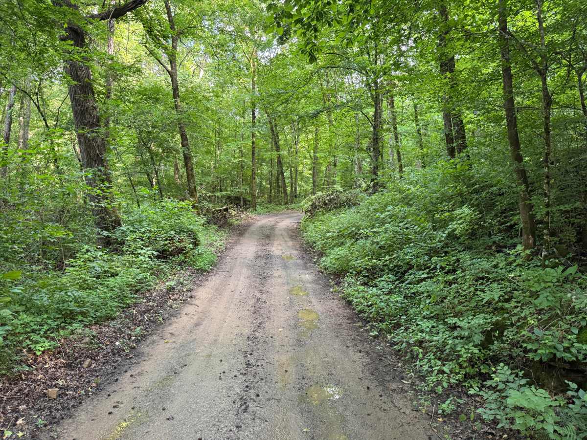 County Road 5681 photo 2