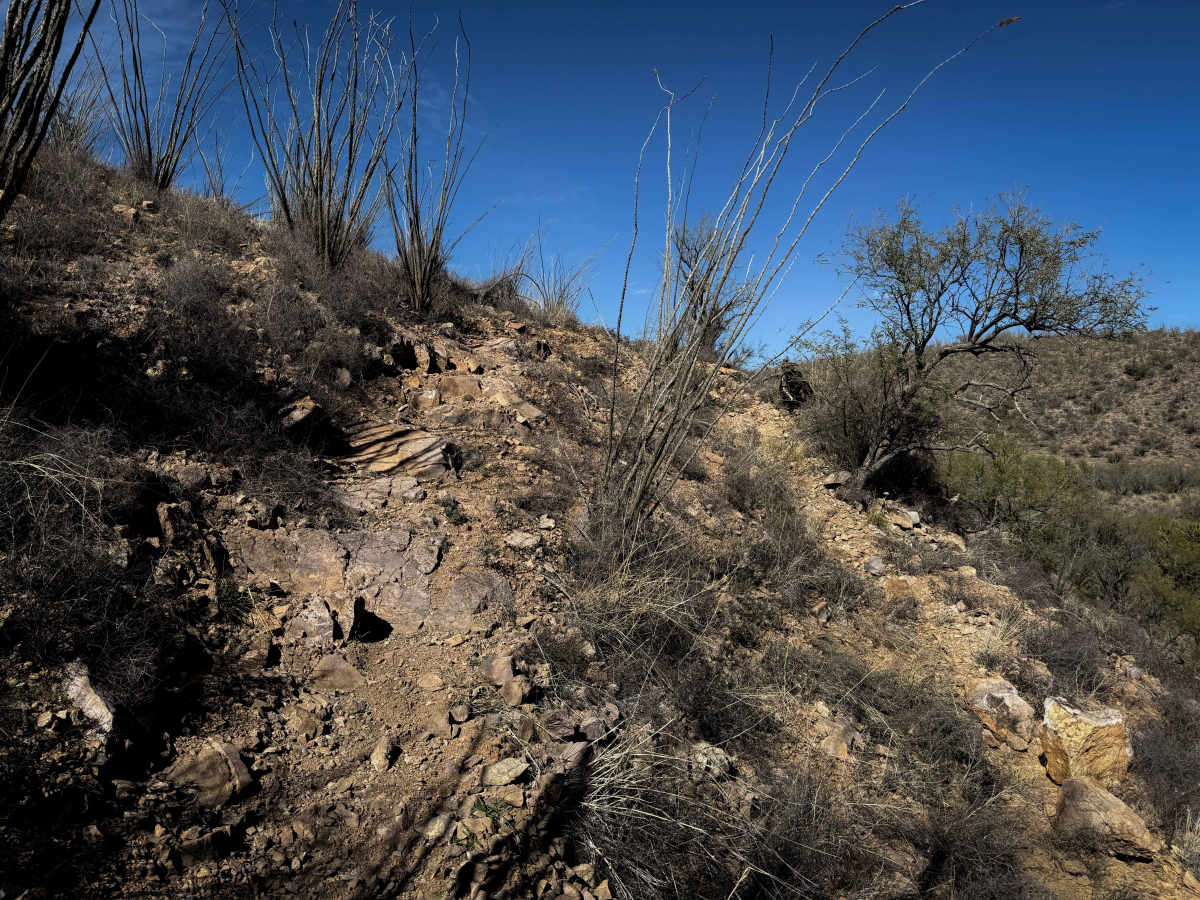 482A  trail photo