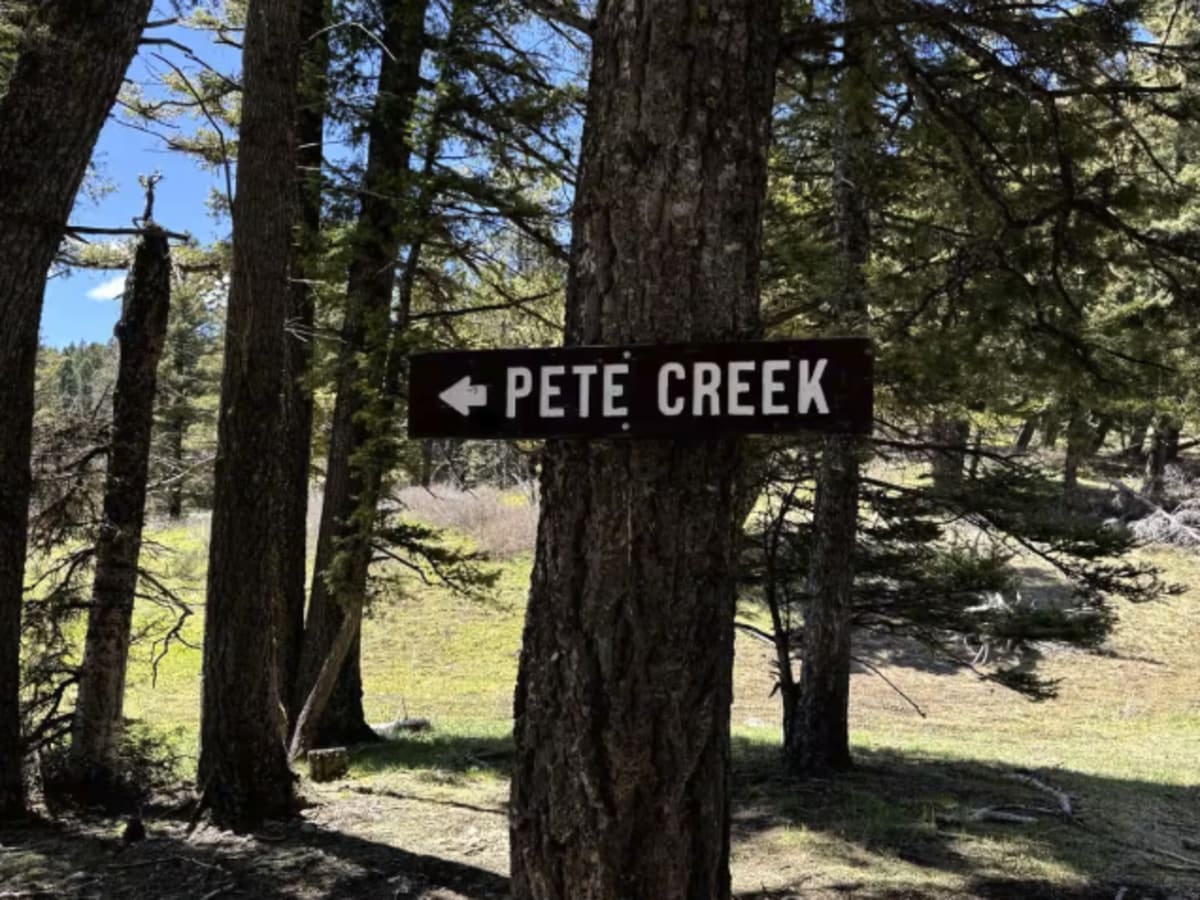 Pete Creek Trail photo 5