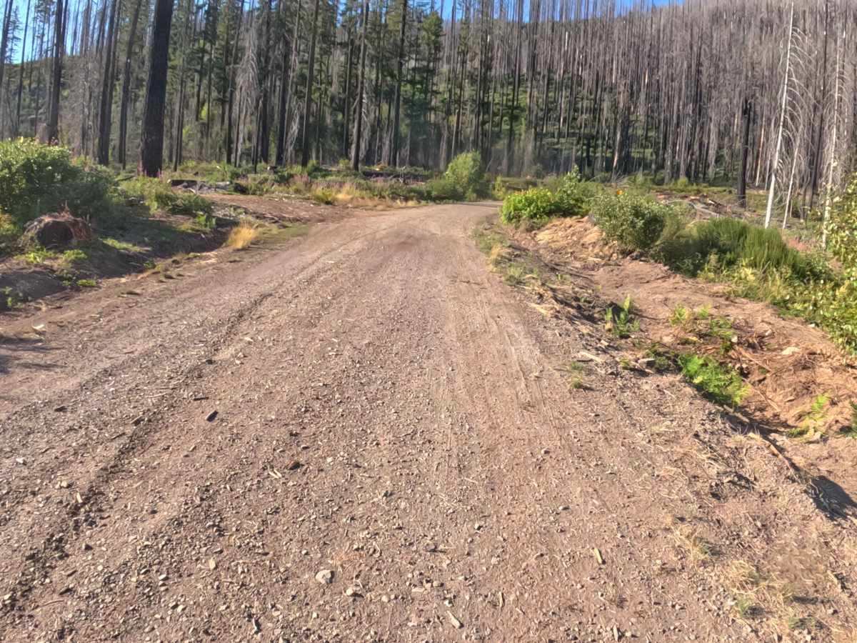 Homestead Road - FS 2200020 photo 2