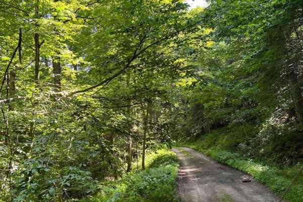 Egypt Road Western Section to Tanner Falls