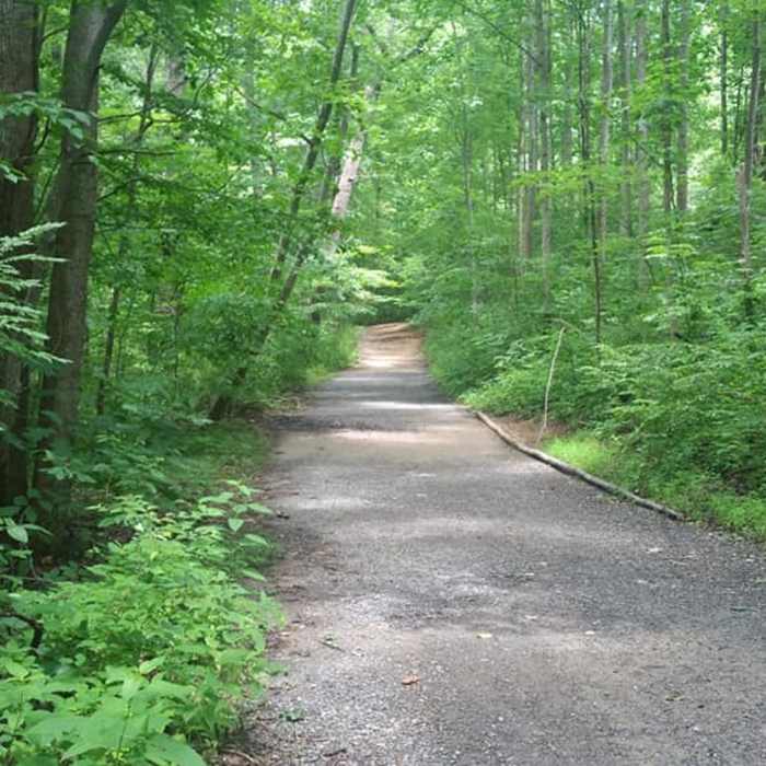 Bridge crossing on the trail Near Wakefield/Accotink Loop