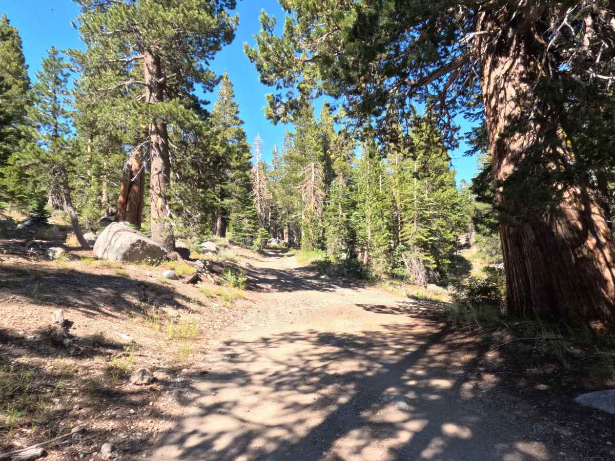 Forestdale Loop Road - FS 31013A photo 4
