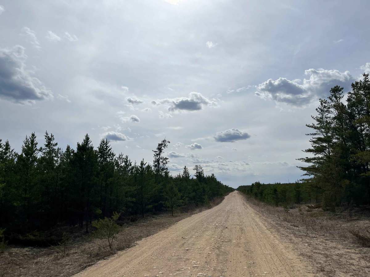 Sandilands Forestry Road 18 photo 4