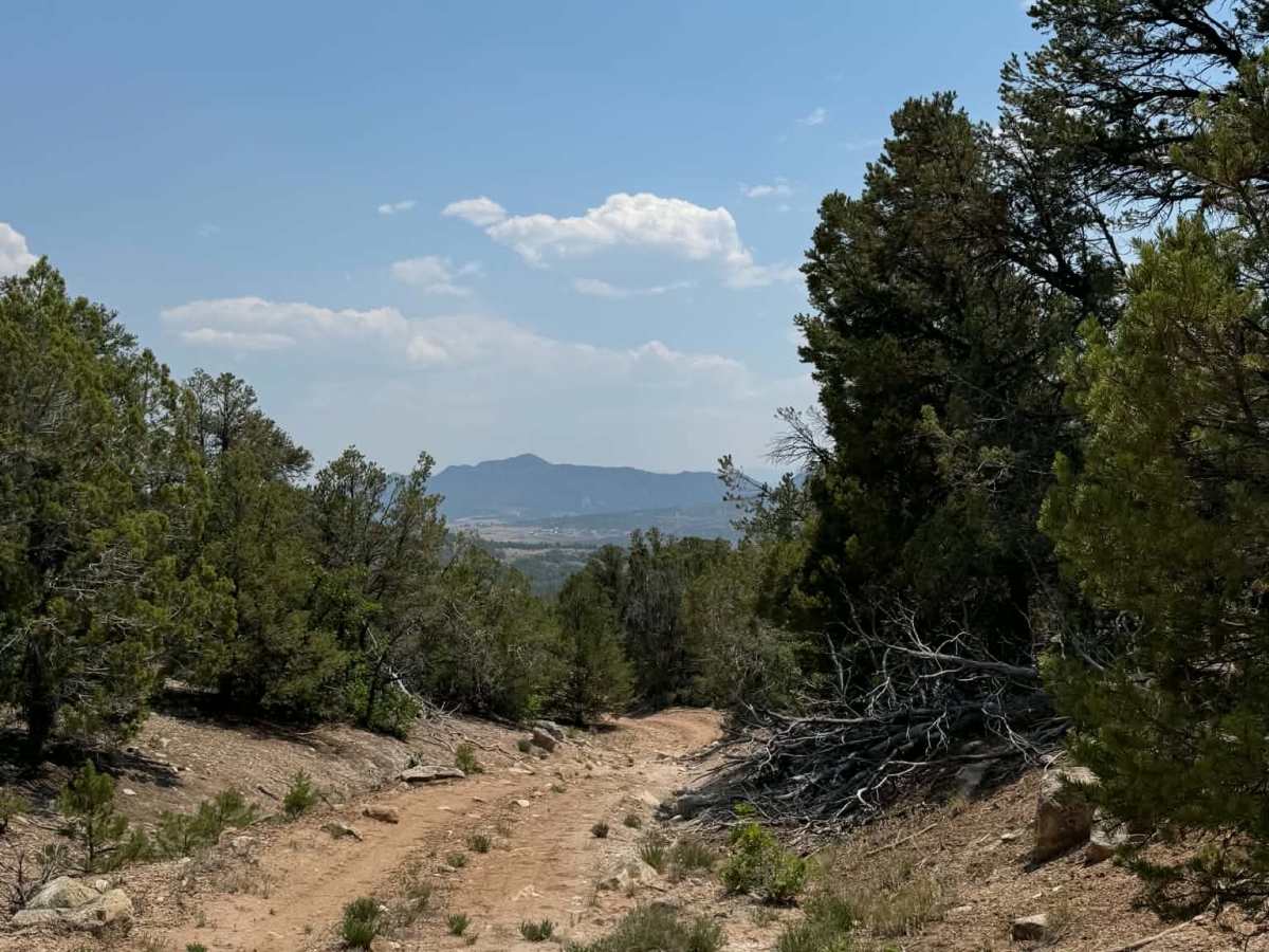 Cedar Mountain East photo 6