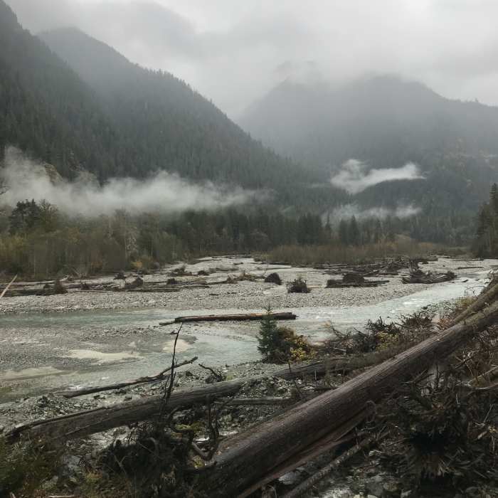 Near Baker Lake Trail