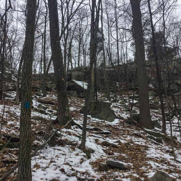 Spring Trail climbs up Near Summit Trail