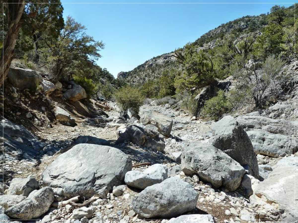 Rocky Gap photo 4
