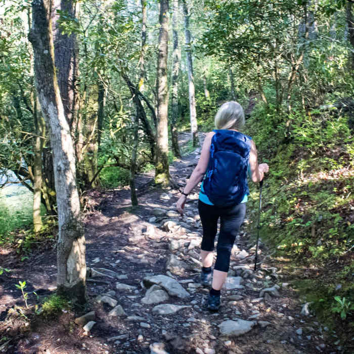 Near Abrams Falls Out and Back Near Abrams Falls Out and Back