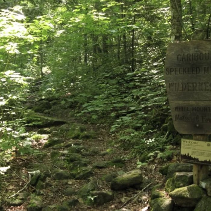 Near Caribou Mountain via Bog Brook