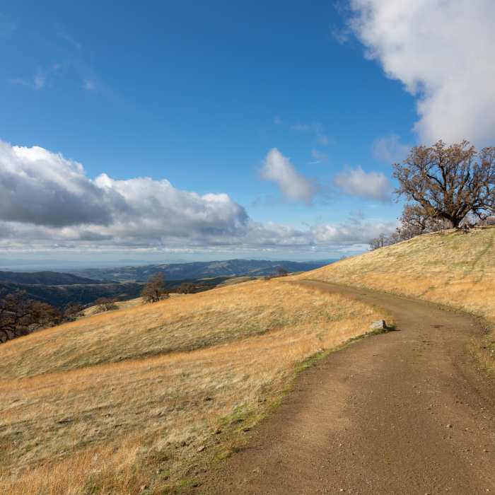 Near Rowell Ridge Trail