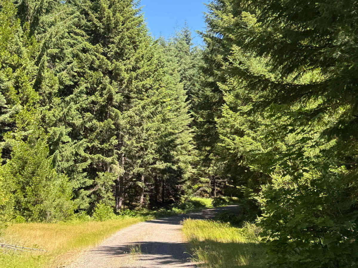 FS 6515 West trail photo