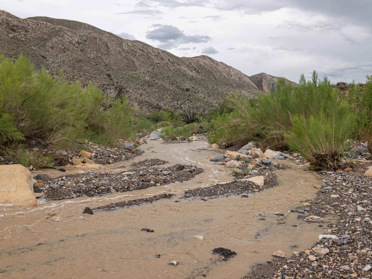 BBRSP Fresno Canyon Rd. photo 6