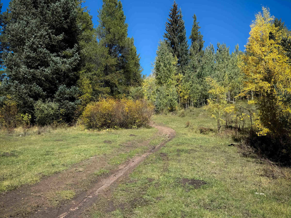 Beaver-McIntyre Trail - FS 472  photo 4