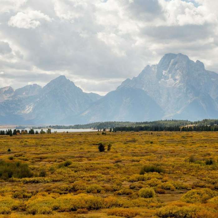Near Lunch Tree Hill
