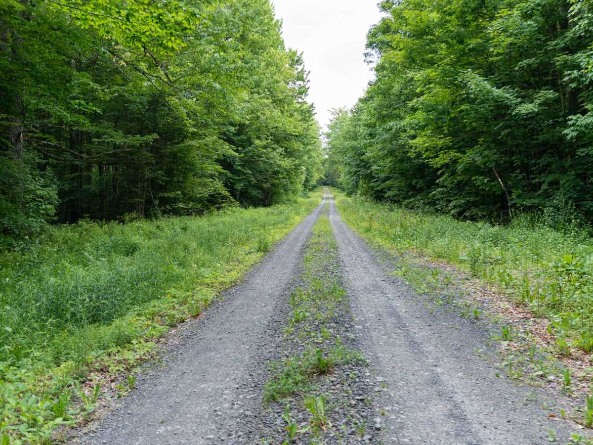 Truck Trail 13 photo 4