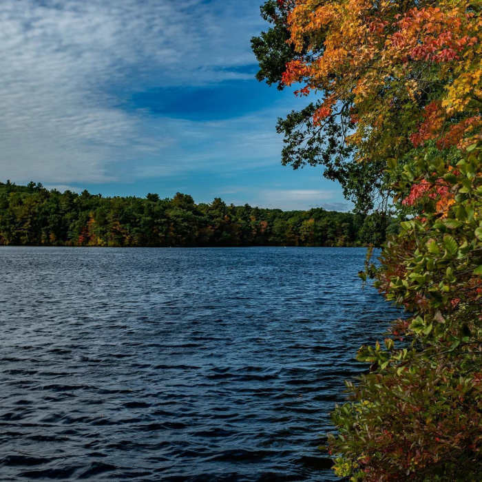 Near Lake Waban Trail