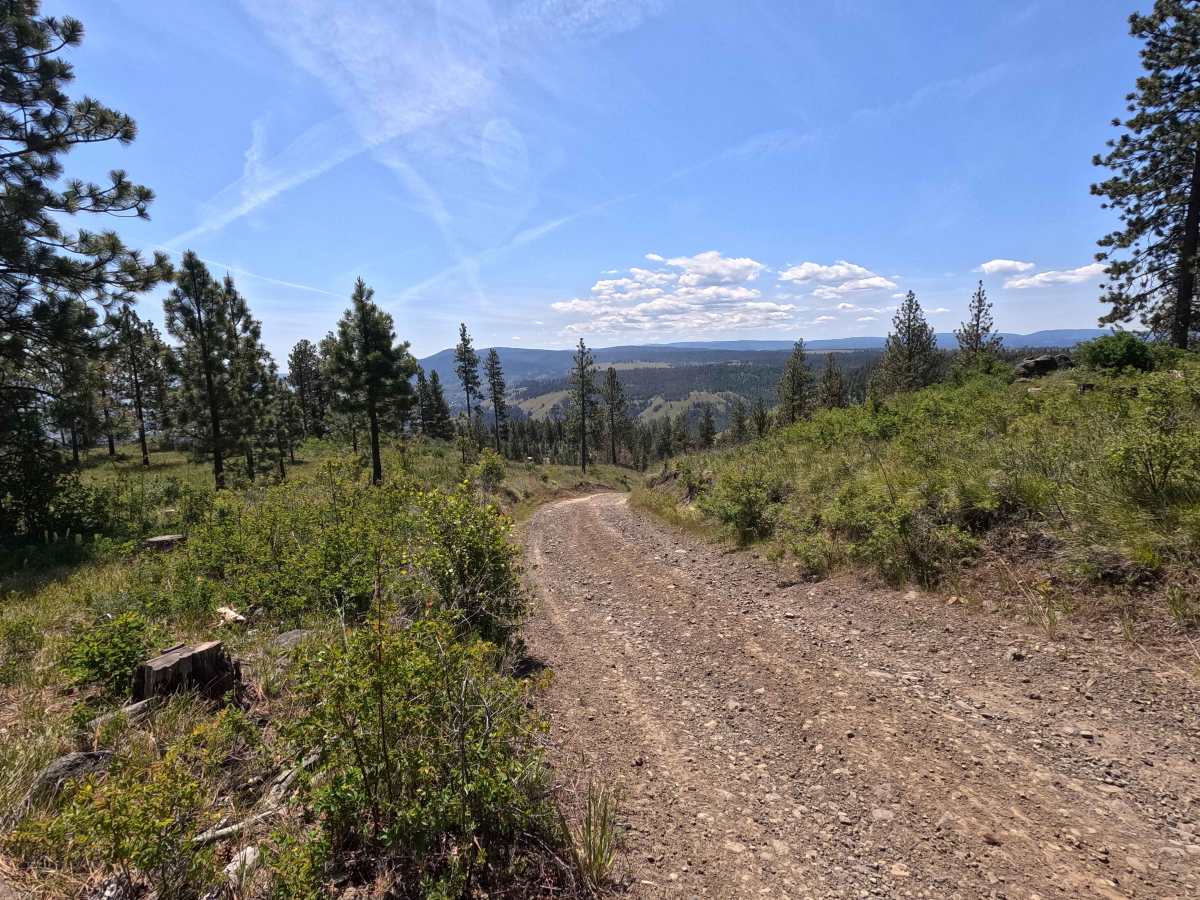 Mainline - Trail 201 photo 2