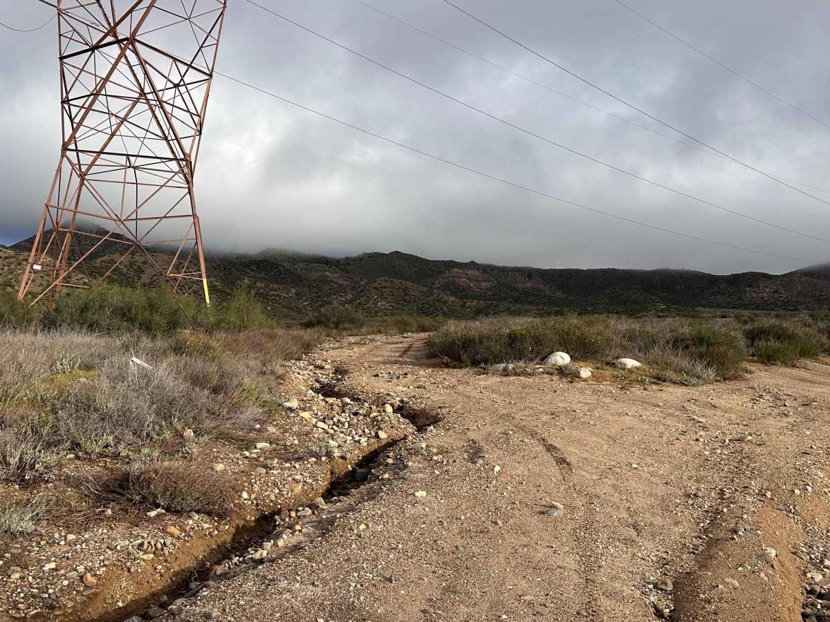Power Line Lip photo 5