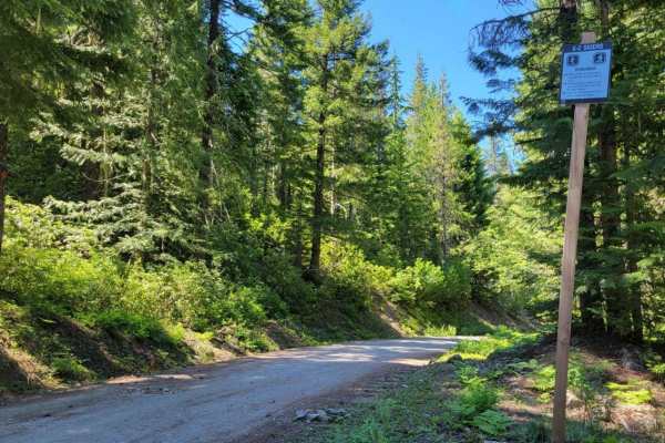Still Creek Road