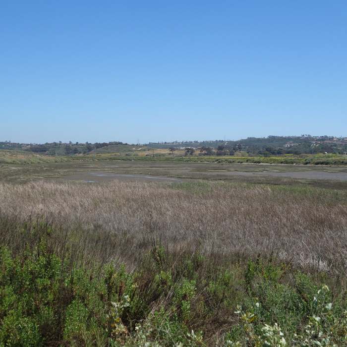 San Dieguito Lagoon in late spring. Near Coast to Crest Trail: San Dieguito Lagoon