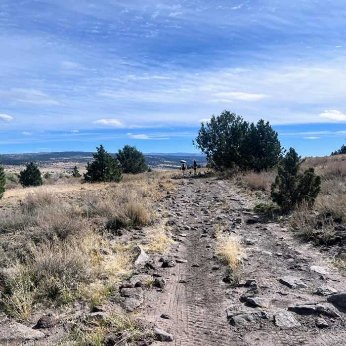 Near Donner Und Blitzen River Hike Near Donner Und Blitzen River Hike