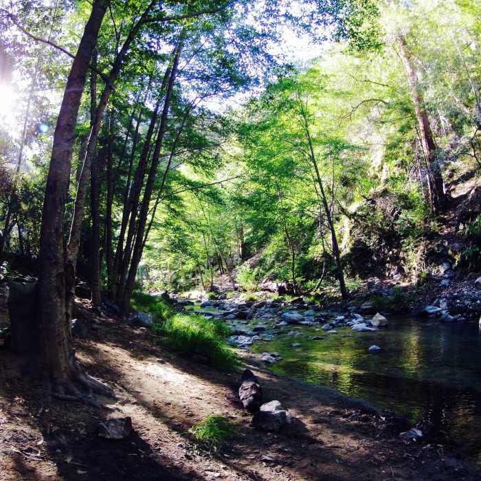 Near Pine Ridge Trail to Sykes Hot Springs