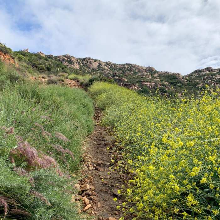 Near El Cajon Mountain