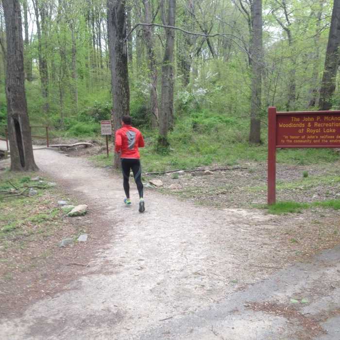 Near Ronald Craven Trail