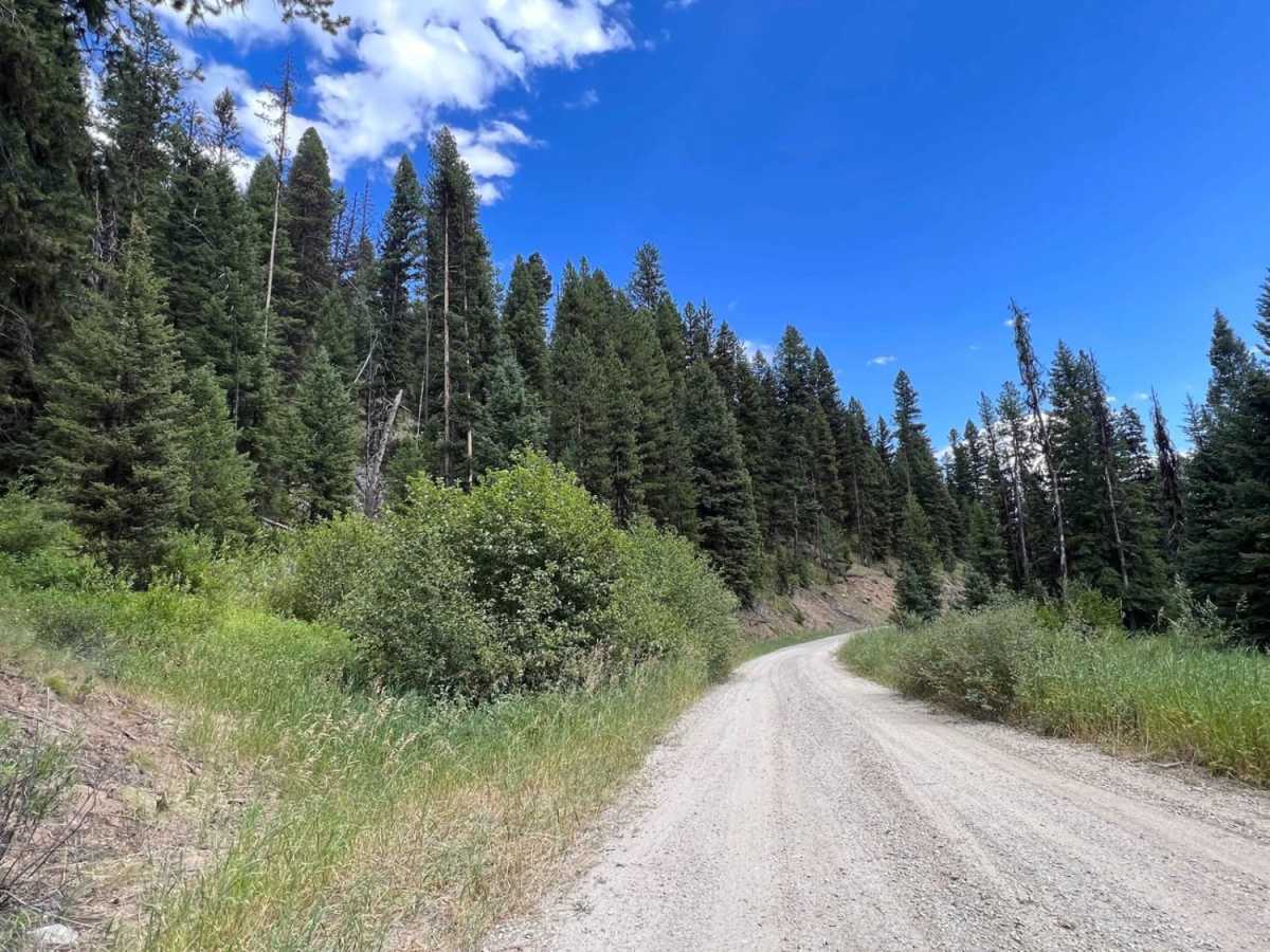 Martin Creek to Chain of Lakes Trail photo 6