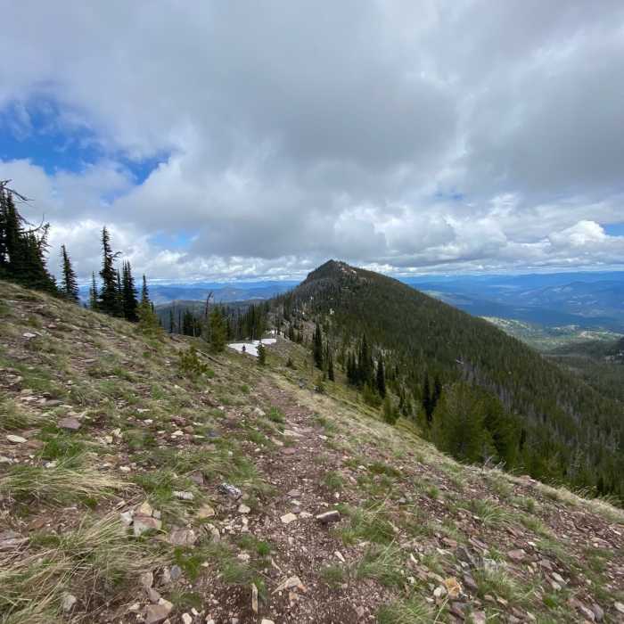 Near Sheep Mountain Trail #513