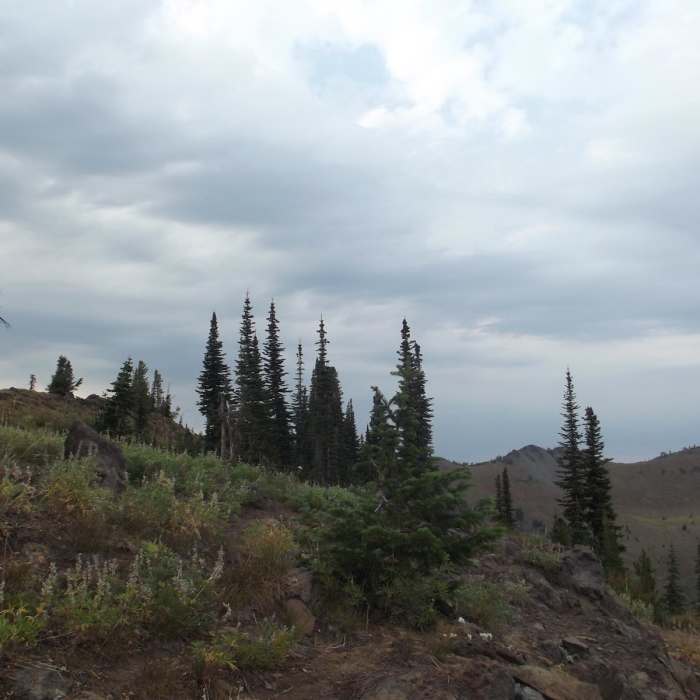 Near North Catherine Creek Trail + Cartwheel Ridge Loop
