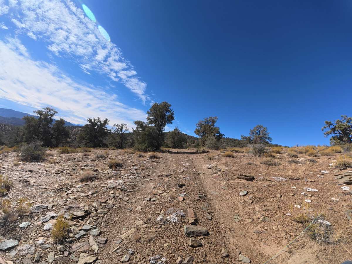 FS 8S109 photo 4
