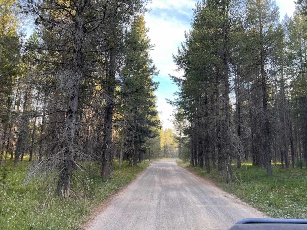Flat Rock of Potholes photo 5