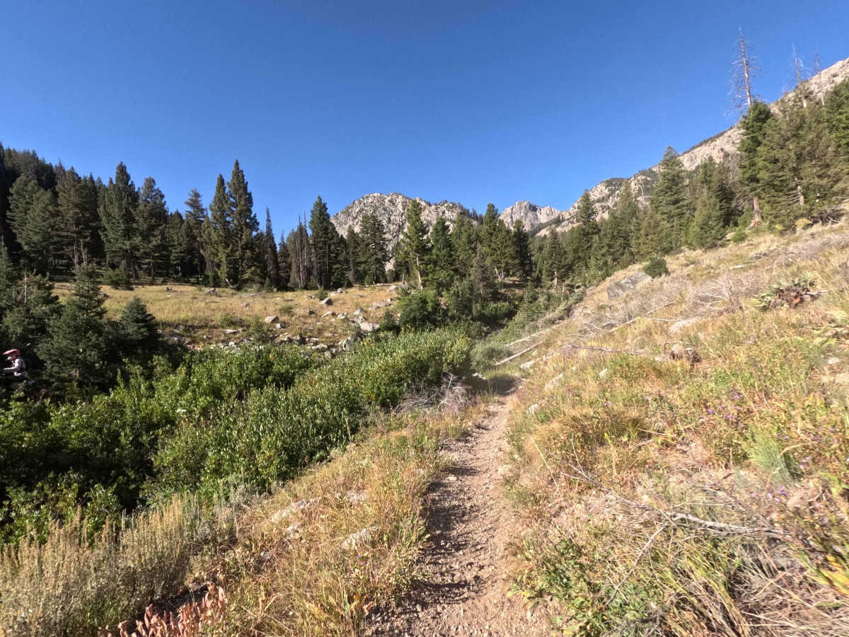 South Fork Ross Fork - FS 7227 photo 2