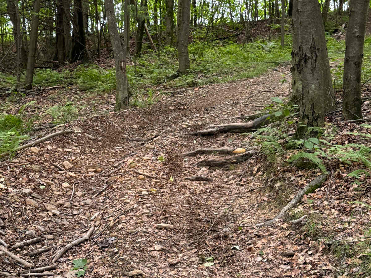 Trail 31 photo 5