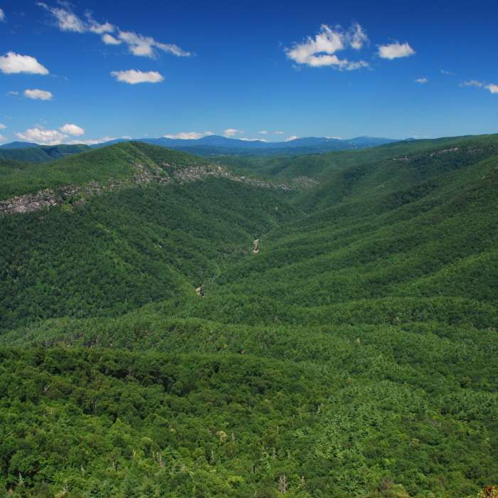 Linville Gorge Wilderness Area as seen from the peak of Table Rock Mountain. Near Linville Gorge Wilderness Loop