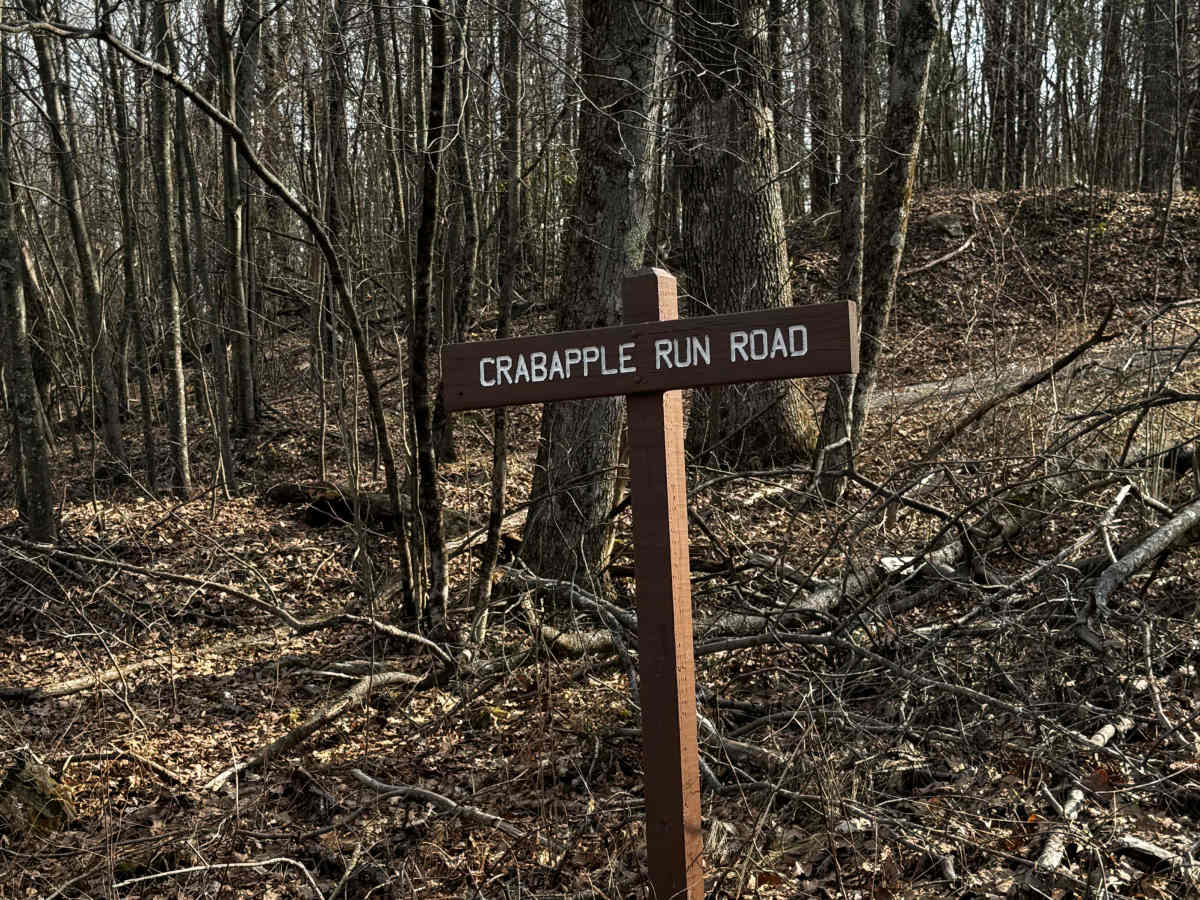 Crabapple Run Road trail photo
