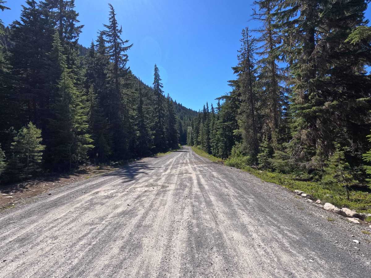 Cooper Road - FS 46 trail photo